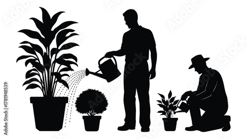 Gardeners watering potted plants silhouette isolated on white background, Vector