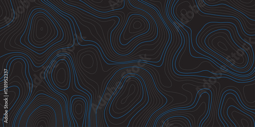 Abstract dark background with blue contour lines resembling a topographic map. Modern digital design for technology, geography, or data visualization themes. Minimal, clean, and futuristic style.