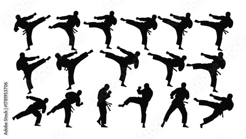 Martial arts kicks and poses silhouettes isolated on white background, Vector