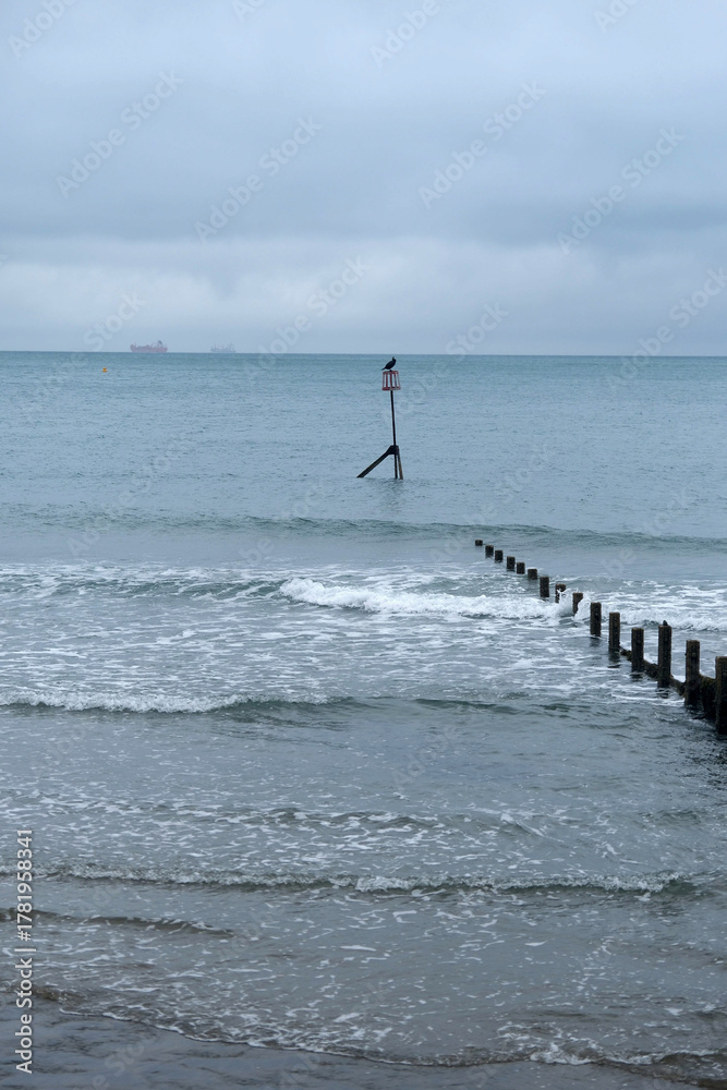 Fototapeta premium Solitary Cormorant Perched on Sea Marker Pole by Wooden Groynes on Cloudy Beach