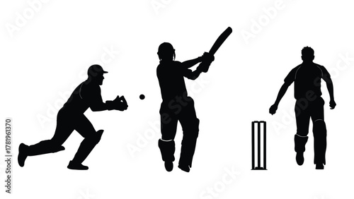 Cricket players silhouette illustration isolated on white background, Vector