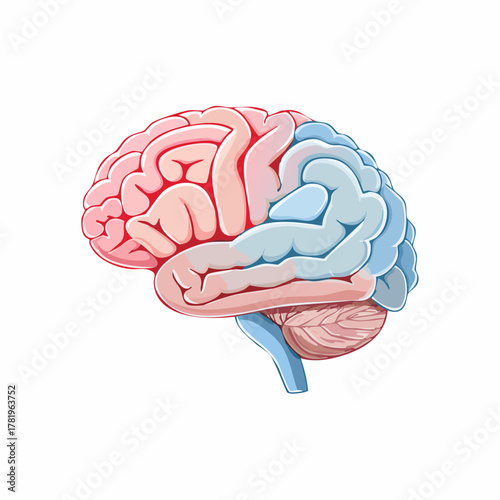 Cerveau stylisé isolé symbole d’intelligence