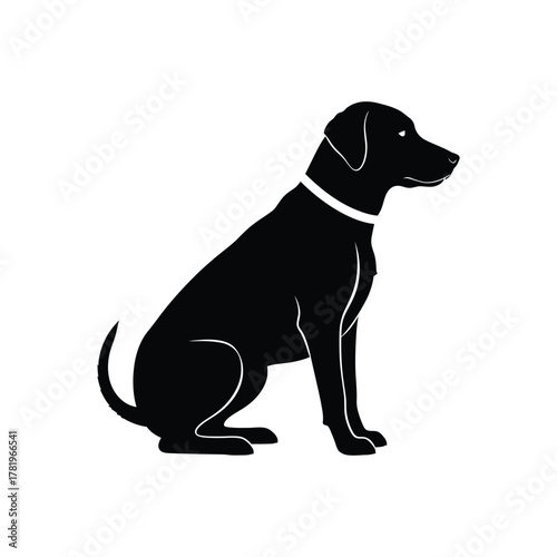 A black labrador retriever dog sits patiently wearing a white collar presented as a clean silhouette against a white background