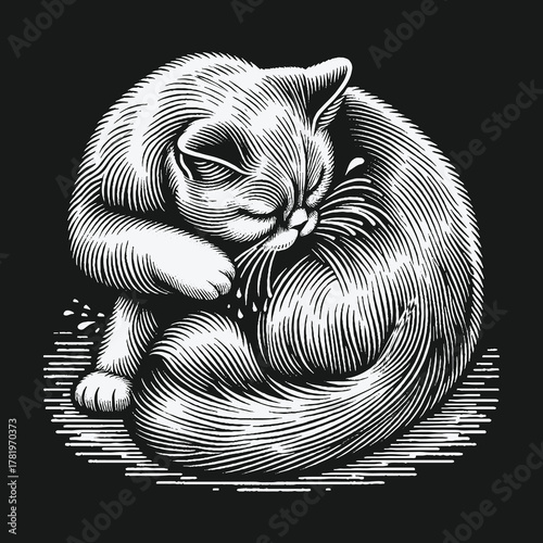 Vintage Engraving Style Illustration of a Sleeping Curled Cat.
