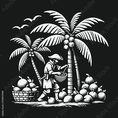 Vintage black and white illustration of a farmer harvesting coconuts.