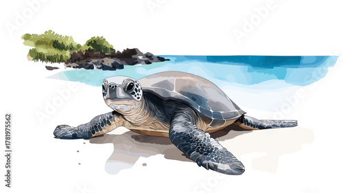 Galapagos Islands. Galapagos Islands hand drawn watercolor illustration