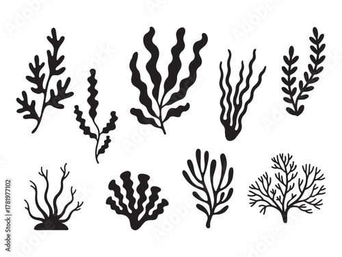 Silhouette collection of seaweed and coral black and white vector illustrations