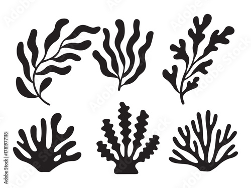 Various seaweed and coral shapes silhouette black and white vector illustration