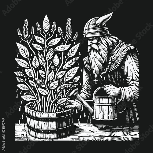 Ancient bearded Viking with a horned helmet watering a lush plant in a wooden barrel.