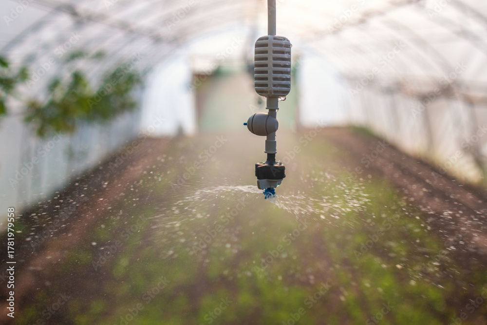 Fototapeta premium Sprinkler System Overhead Watering Seedlings in Greenhouse for Healthy Crops and Growth
