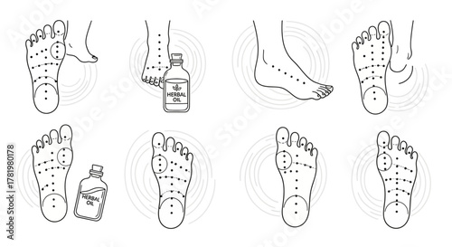 Foot reflexology chart showing pressure points on feet vector illustration isolated on white background