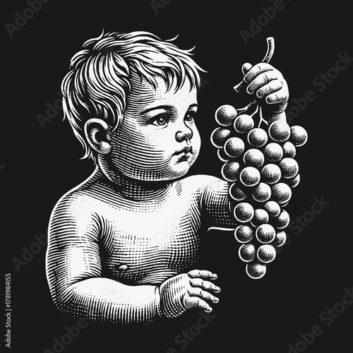 Vintage engraving style illustration of a cherubic baby holding a bunch of grapes.