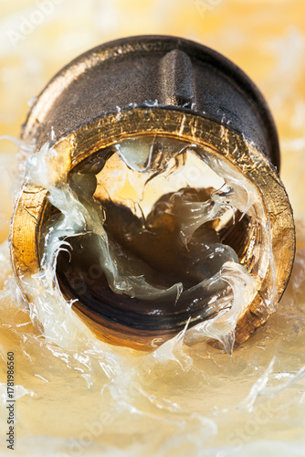 Brass coupling for water installations, immersed in technical grease