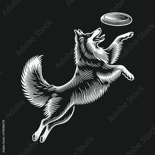Black and white engraved illustration of a dog jumping to catch a frisbee.