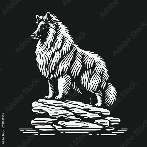 Vintage woodcut illustration of a majestic long haired dog.