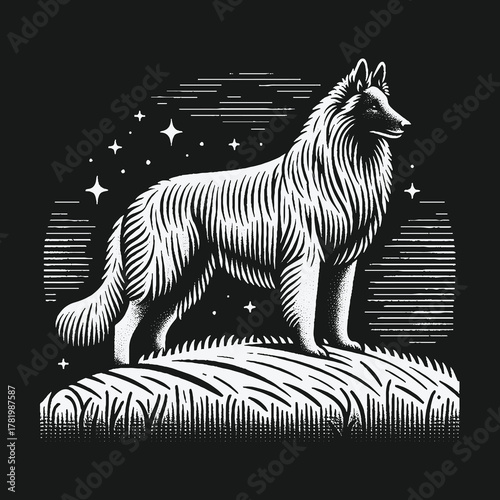 Majestic Belgian Tervuren dog linocut illustration at night.