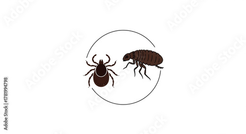 Illustration of a flea and a tick in a circle, representing common parasites that can affect pets and animals