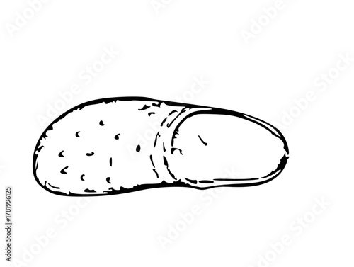 Vector illustration of a shoes 