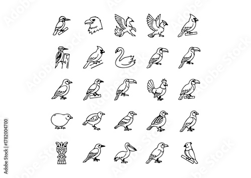 Vector Bird Icons Collection - Ornithology Set, Black and White Avian Line Art Pictograms, Unique Feathered Friends Icons - Thick Line