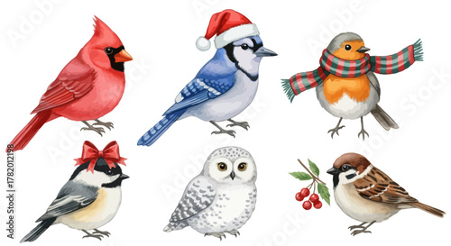 Colorful winter birds with festive attire on white background  