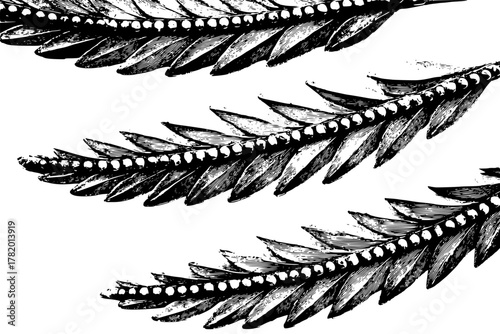 Elegant Art Deco Botanical Design - Daphne Twig Extremely Highly Detailed Depiction Three Cent | Clean, isolated vector art for creative projects.