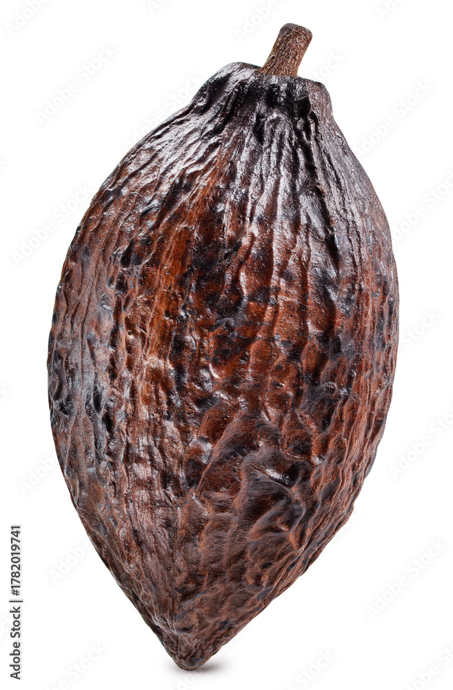 Obraz premium Cocoa isolated on white background