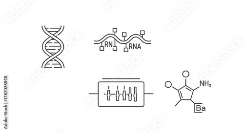 Set of molecular biology icons in line style, depicting DNA double helix, RNA molecule, electrophoresis gel, and a chemical structure, representing scientific research and genetic studies in a clean