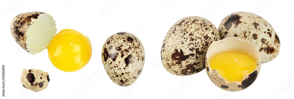 Fototapeta premium Raw quail egg isolated on white background with full depth of field. Top view. Flat lay