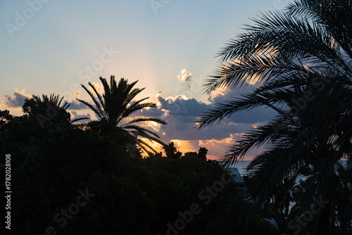 Sunrise with palms, clouds and sun rays