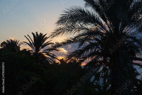 Sunrise with palms, clouds and sun rays
