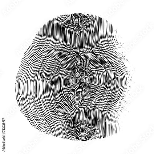 Tree ring cross section wood texture growth rings annual rings tree age black and white illustration 100 years