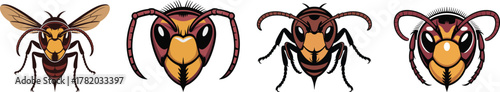 Vector Set of Aggressive Hornet and Wasp Head Illustrations: Detailed Front-Facing Insect Faces and Mascot Design