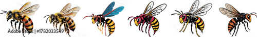 Realistic and Cartoon Vector Set of Flying Bees and Hornets: Detailed Stinging Insect Illustrations