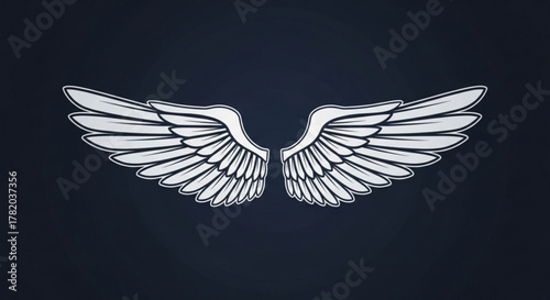 Illustration of a pair of wings, symbolizing freedom, aspiration, and transcendence against a dark background, creating a sense of mystery
