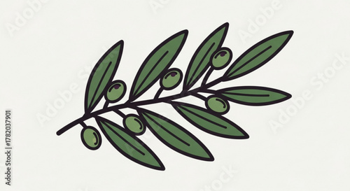Illustration of an olive branch with green olives symbol of peace, victory, and fertility in ancient times
