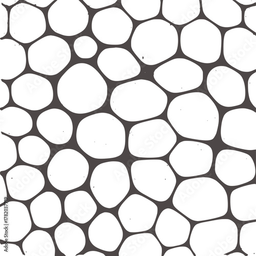 Black white cell structure pattern abstract biology