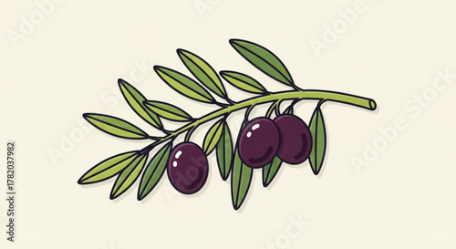 Illustration of an olive branch with dark purple olives symbol of peace, victory, and fertility in ancient times