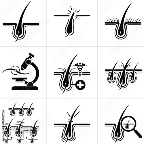 set of musical instruments