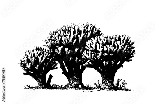 Ancient cacti trio: timeless desert tableau | Clean, isolated vector art for creative projects.