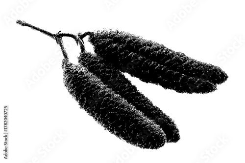 Silhouette Seeds Life | Clean, isolated vector art for creative projects.