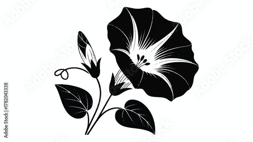 A black and white minimalist illustration of a morning glory flower in a stylized art nouveau style.  (2)_traced