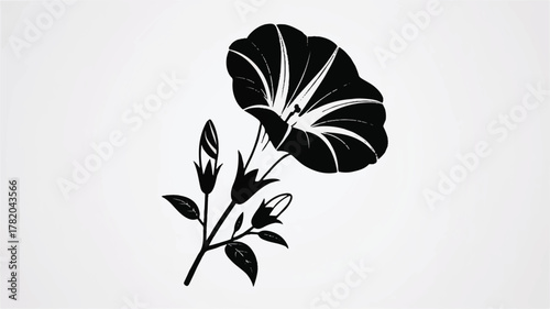 A black and white silhouette illustration of a morning glory flower against a white background.  
