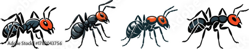 Detailed Vector Set of Black Ants with Bright Red Heads: Fire Ant and Carpenter Ant Illustrations