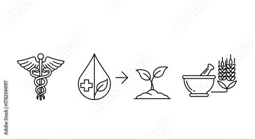 Conceptual line art illustrating the progression from medical symbols and health concepts to agricultural elements, symbolizing the interconnectedness of health and nature, medicine, and farming