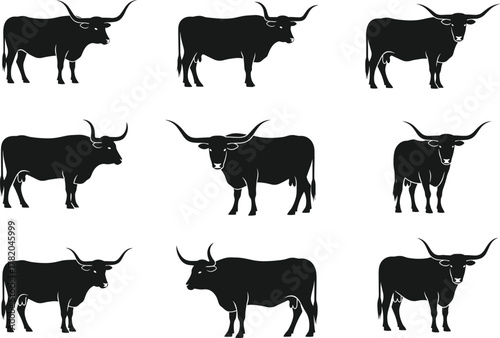 Collection of longhorn bull silhouettes in standing and walking poses, farm animal cattle vector illustration, livestock design for ranch, agriculture, and branding