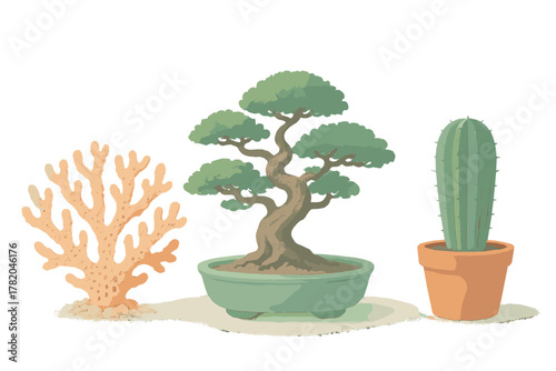 Grouping of a branching coral specimen, a classic potted bonsai tree, and a prickly columnar cactus