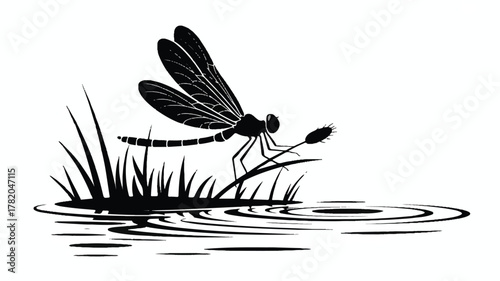 A black and white minimalist illustration of a dragonfly perched on reeds beside a pond 
