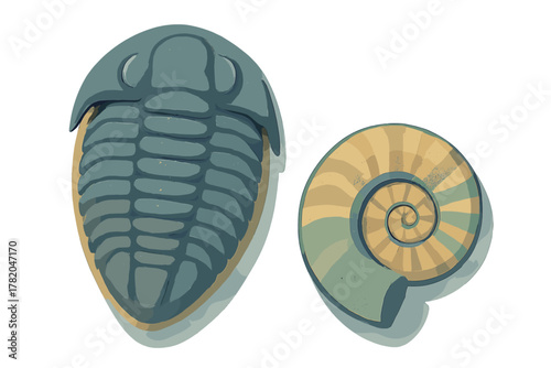 Trilobite and spiral ammonite shell detailed representation of ancient marine fossils