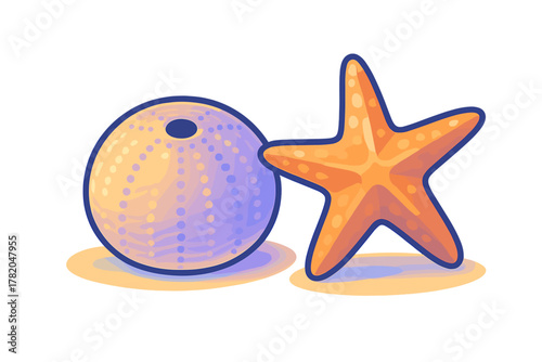 Colorful sea urchin shell and starfish lying together on the sandy ocean floor