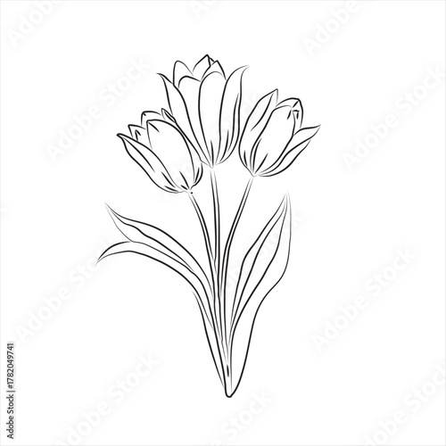 Elegant Line Art Tulips Bouquet. Black and White Tulip Line Art Illustration